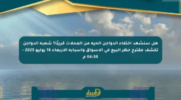 هل سنشهد اختفاء الدواجن الحية من المحلات قريبًا؟ شعبة الدواجن تكشف مقترح حظر البيع في الأسواق وأسبابه  الأربعاء 16 يوليو 2025 – 04:38 م